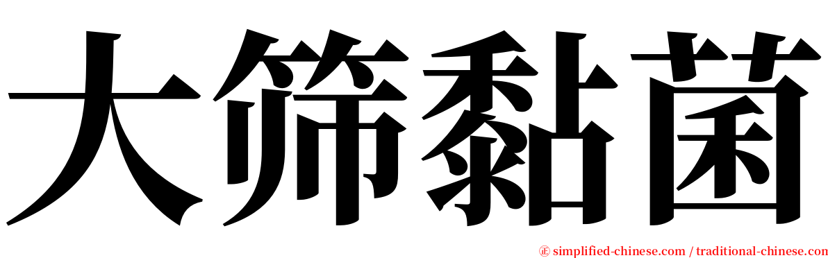 大筛黏菌 serif font