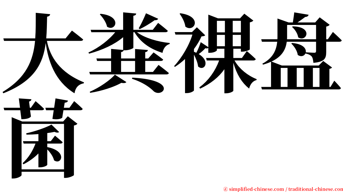 大粪裸盘菌 serif font