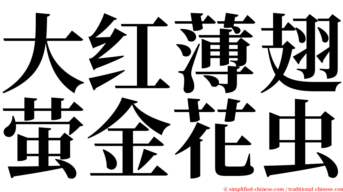 大红薄翅萤金花虫 serif font