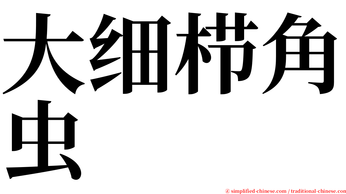 大细栉角虫 serif font