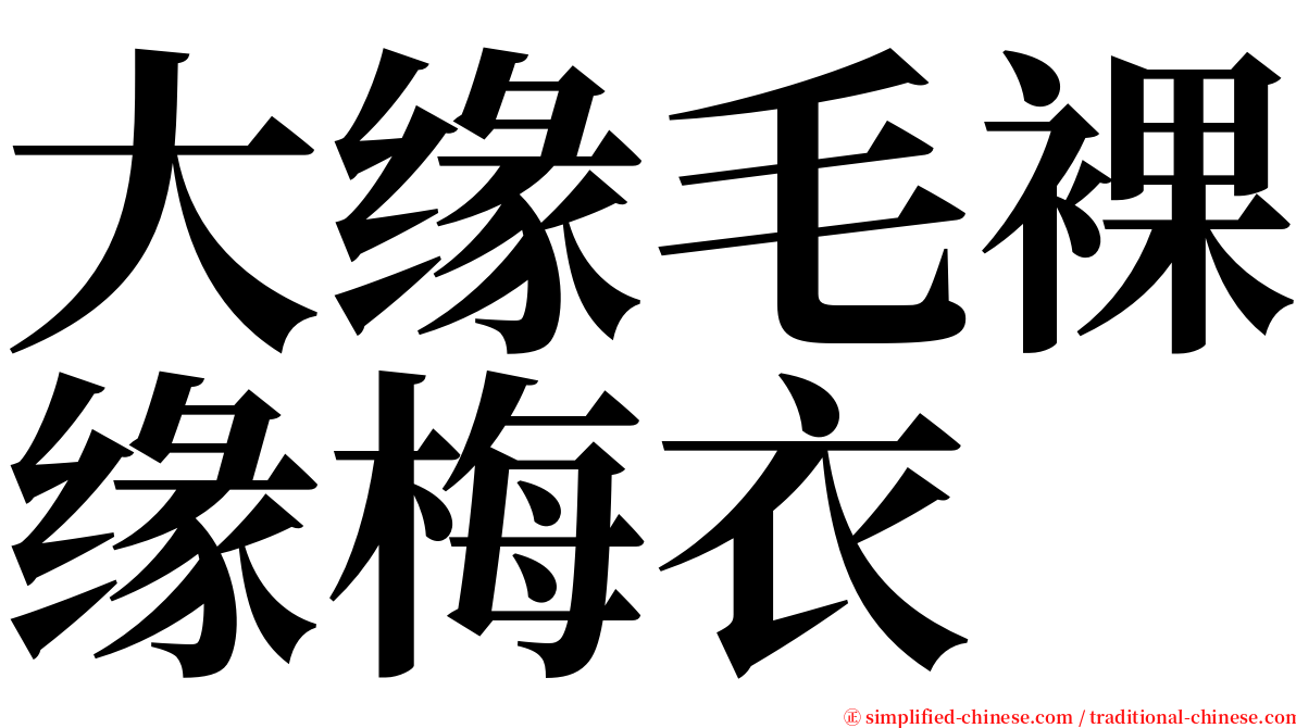 大缘毛裸缘梅衣 serif font