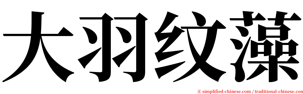 大羽纹藻 serif font