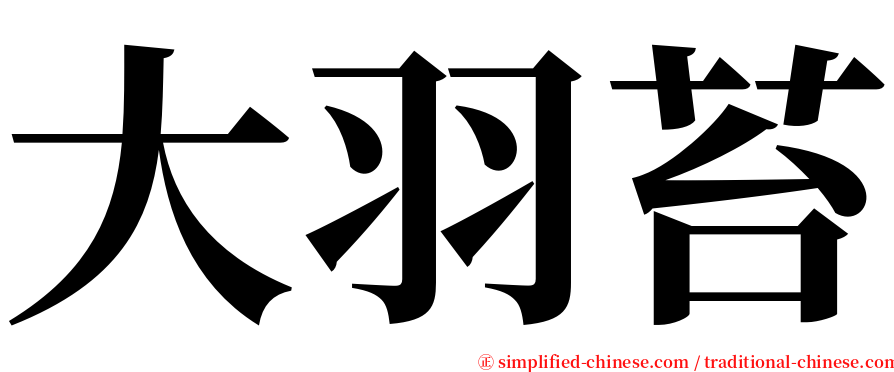 大羽苔 serif font