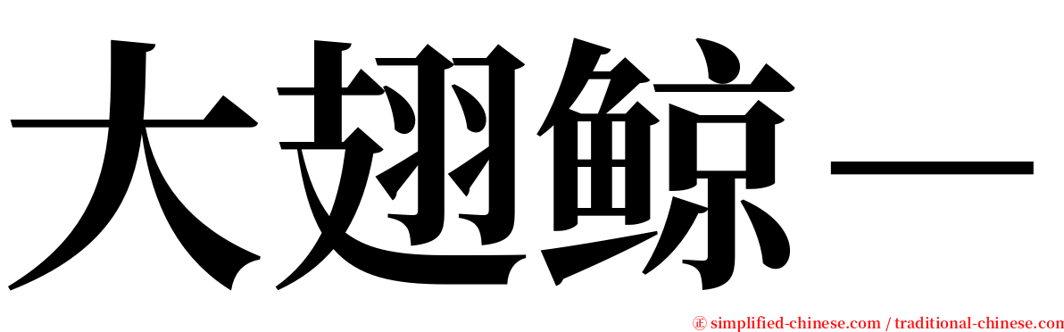 大翅鲸－ serif font