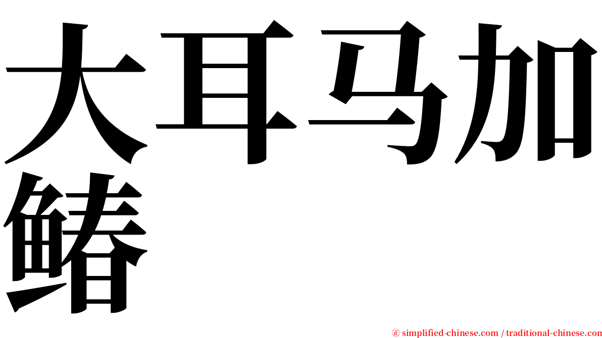 大耳马加䲠 serif font