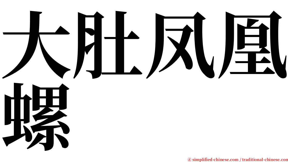 大肚凤凰螺 serif font