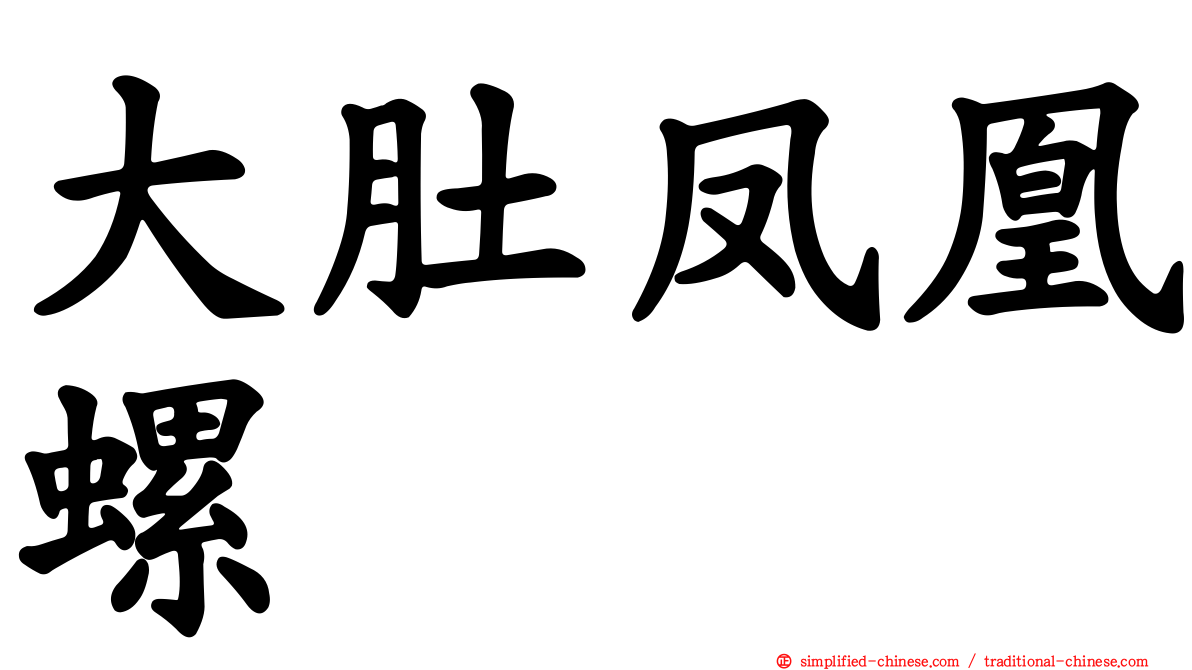 大肚凤凰螺