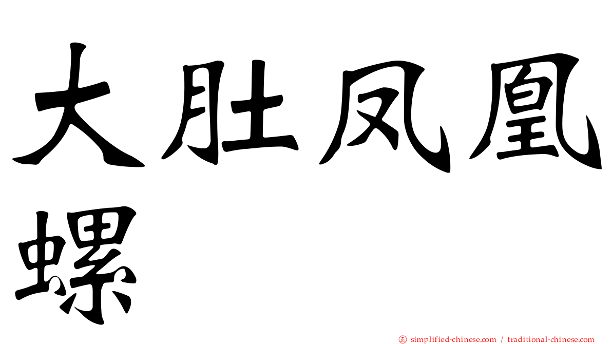 大肚凤凰螺