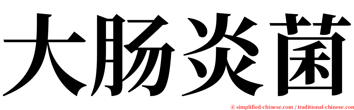 大肠炎菌 serif font