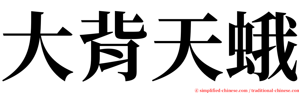 大背天蛾 serif font