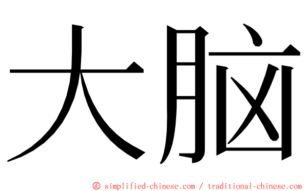 大脑 ming font