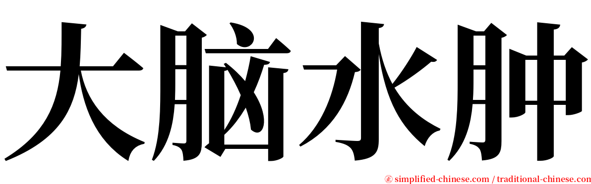 大脑水肿 serif font