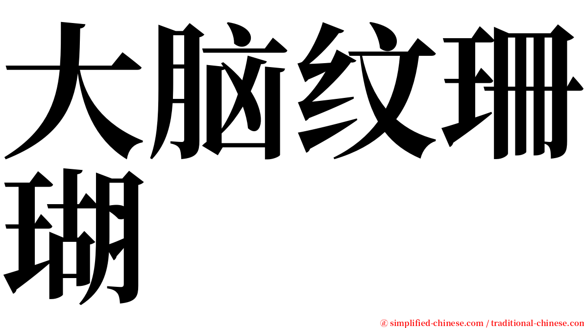 大脑纹珊瑚 serif font