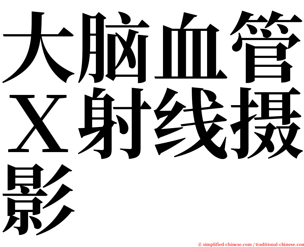 大脑血管Ｘ射线摄影 serif font