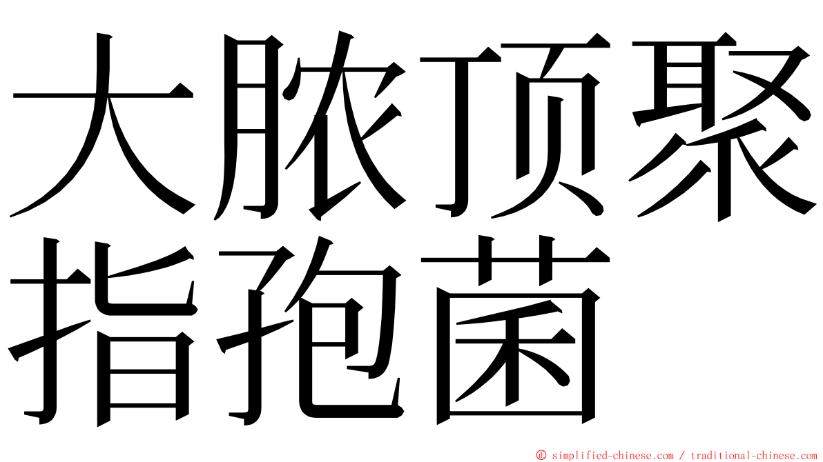 大脓顶聚指孢菌 ming font