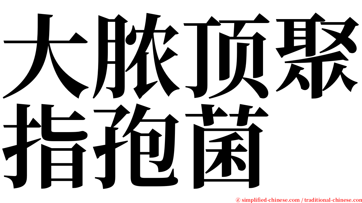 大脓顶聚指孢菌 serif font