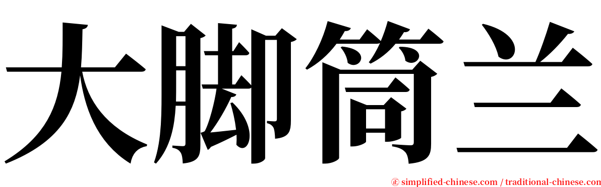 大脚筒兰 serif font