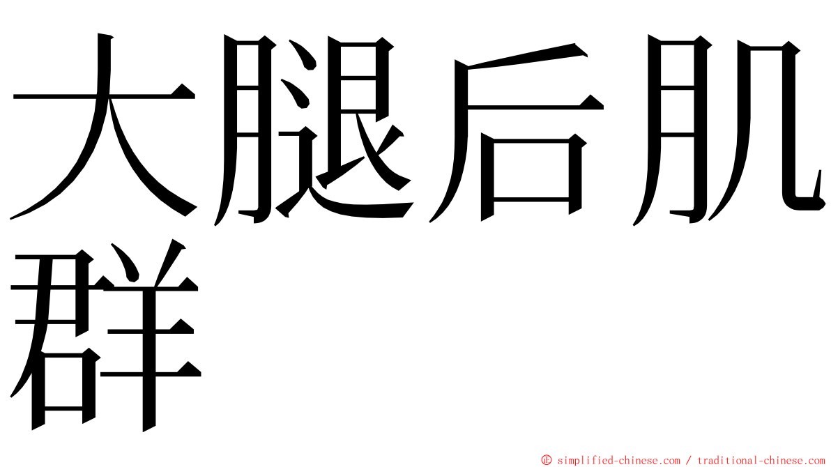 大腿后肌群 ming font