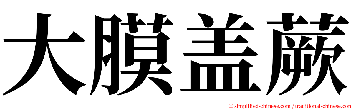 大膜盖蕨 serif font