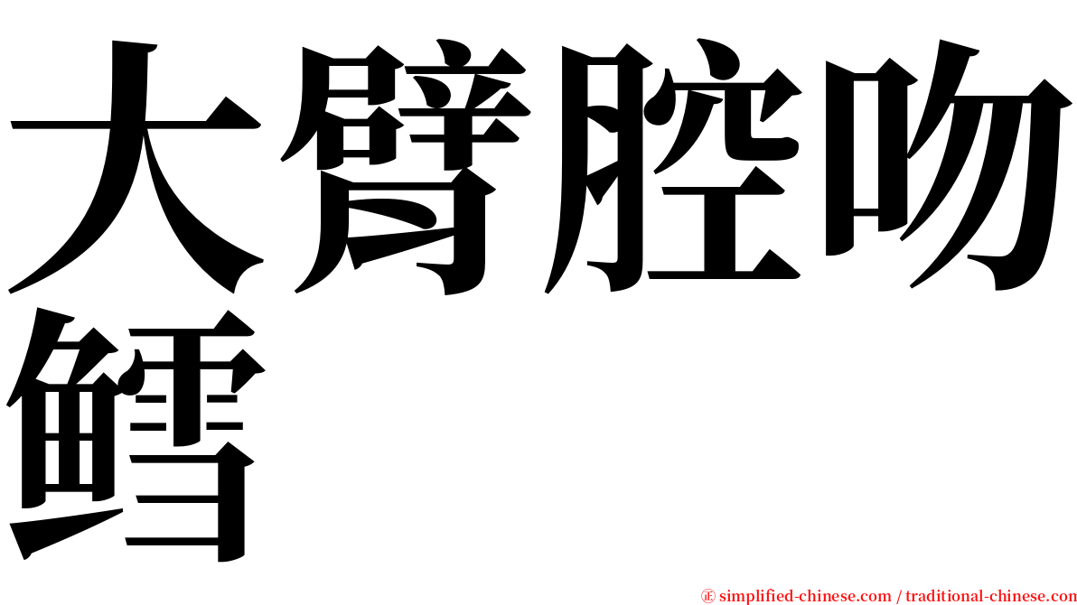 大臂腔吻鳕 serif font