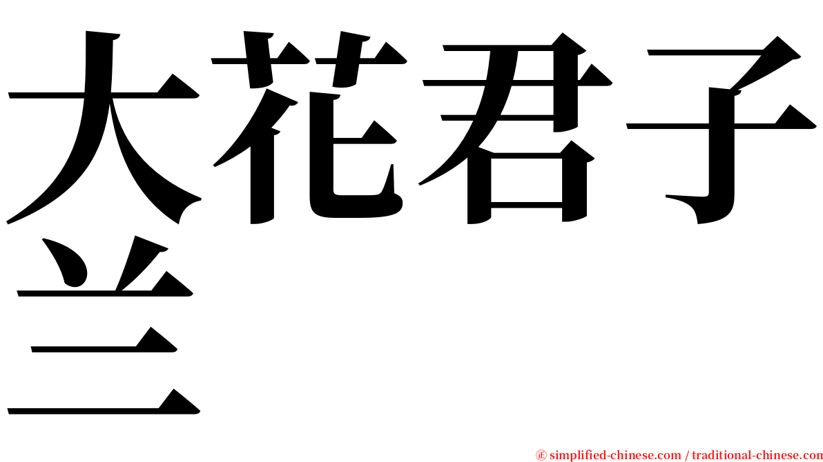 大花君子兰 serif font