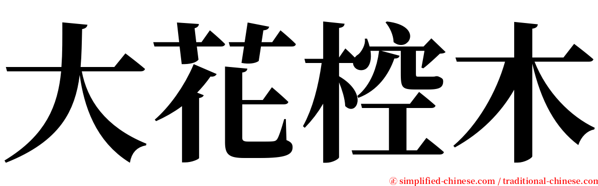 大花椌木 serif font