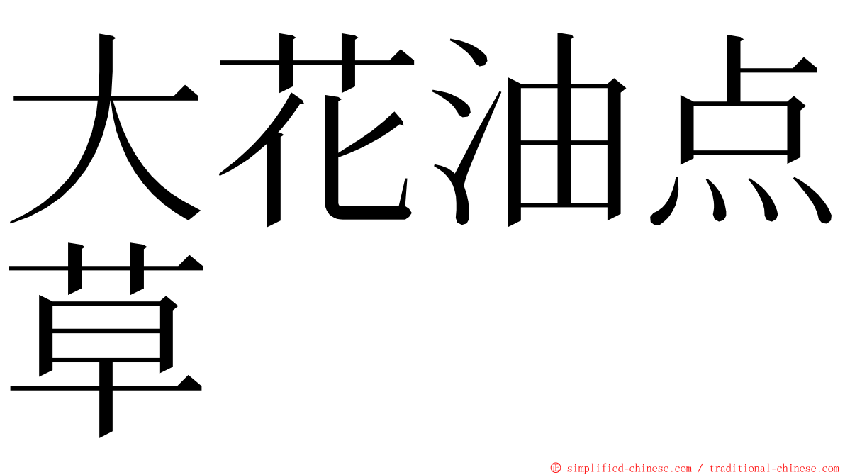 大花油点草 ming font