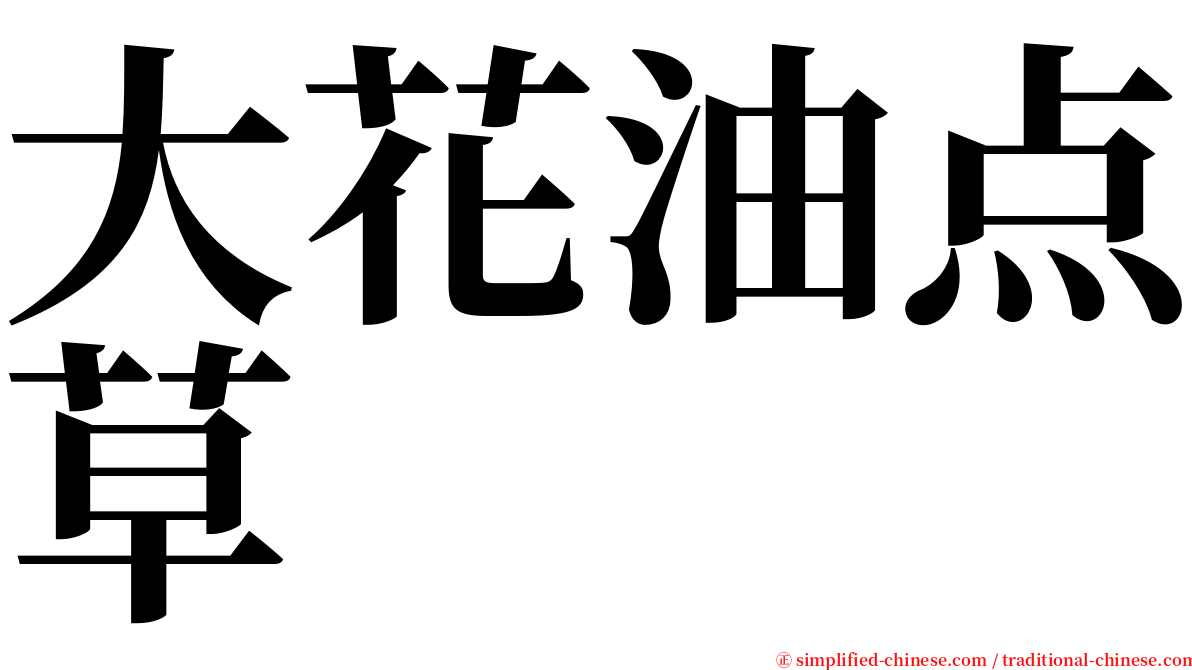 大花油点草 serif font