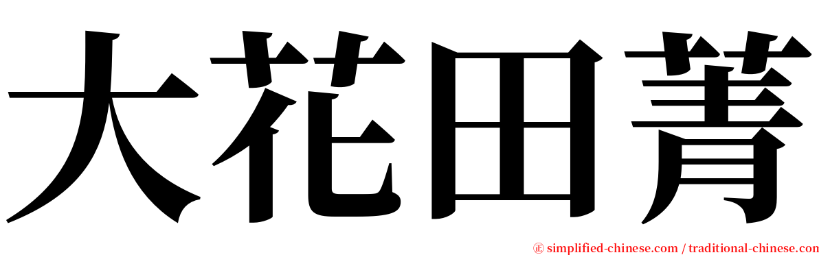 大花田菁 serif font