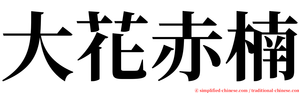 大花赤楠 serif font