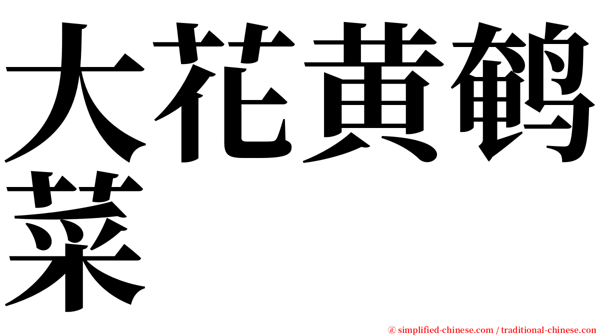 大花黄鹌菜 serif font