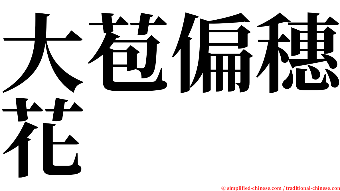 大苞偏穗花 serif font