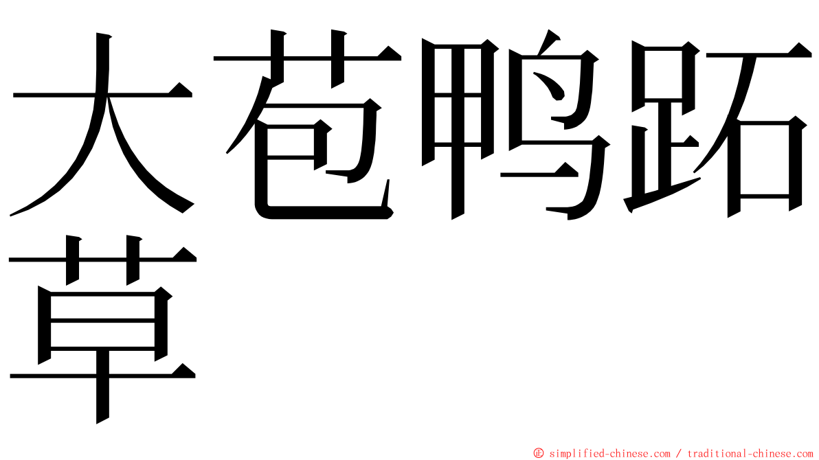 大苞鸭跖草 ming font