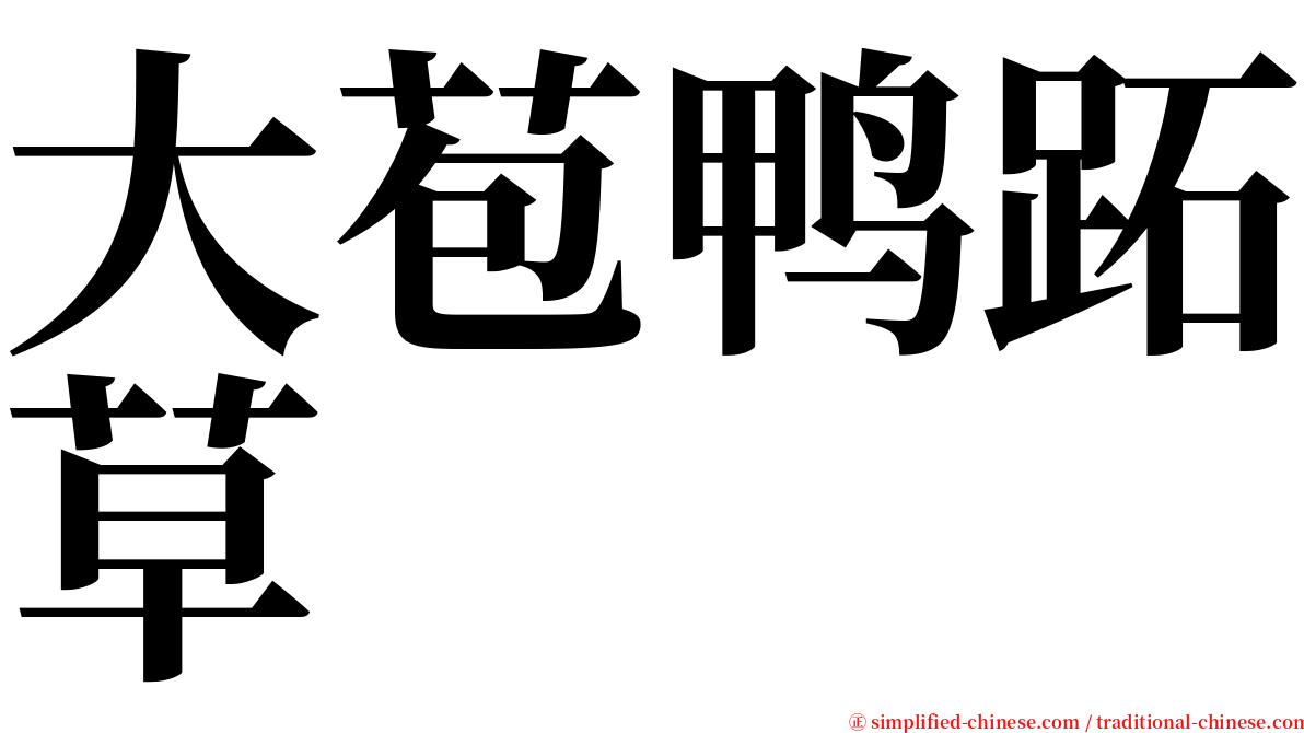 大苞鸭跖草 serif font