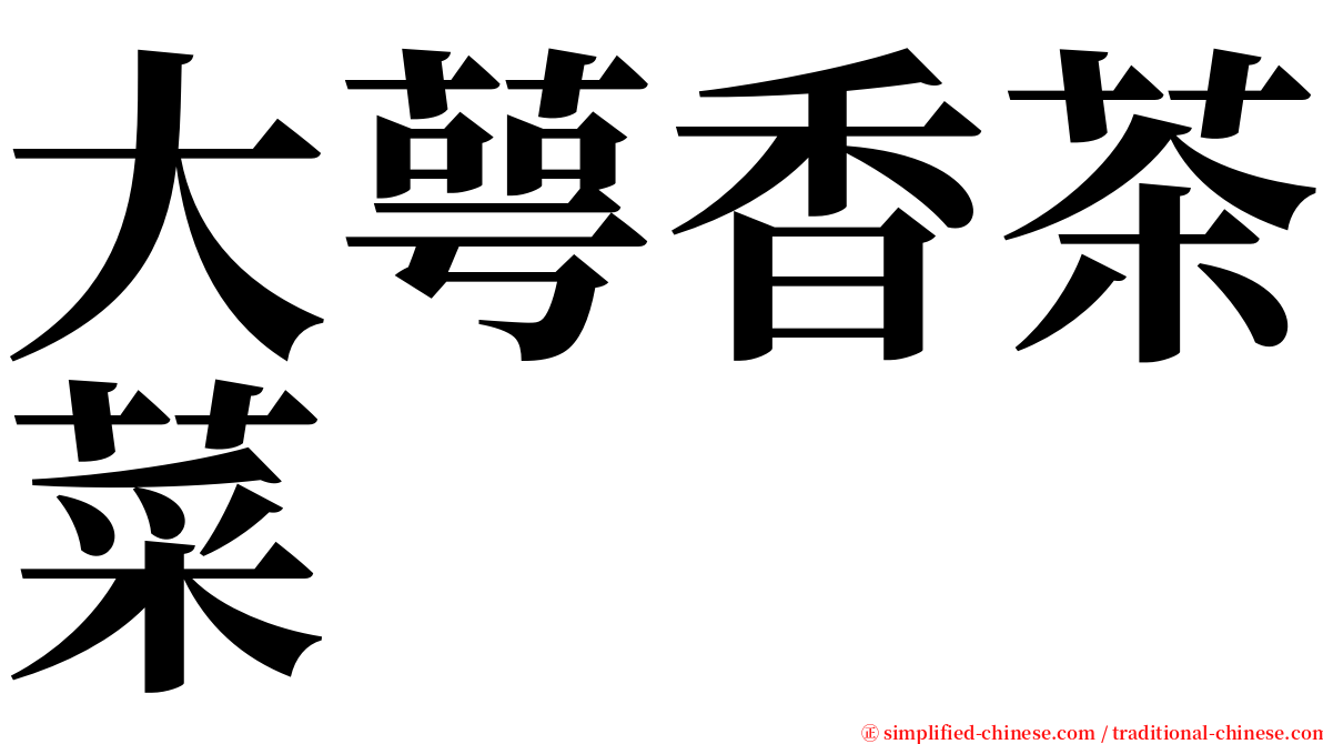 大萼香茶菜 serif font