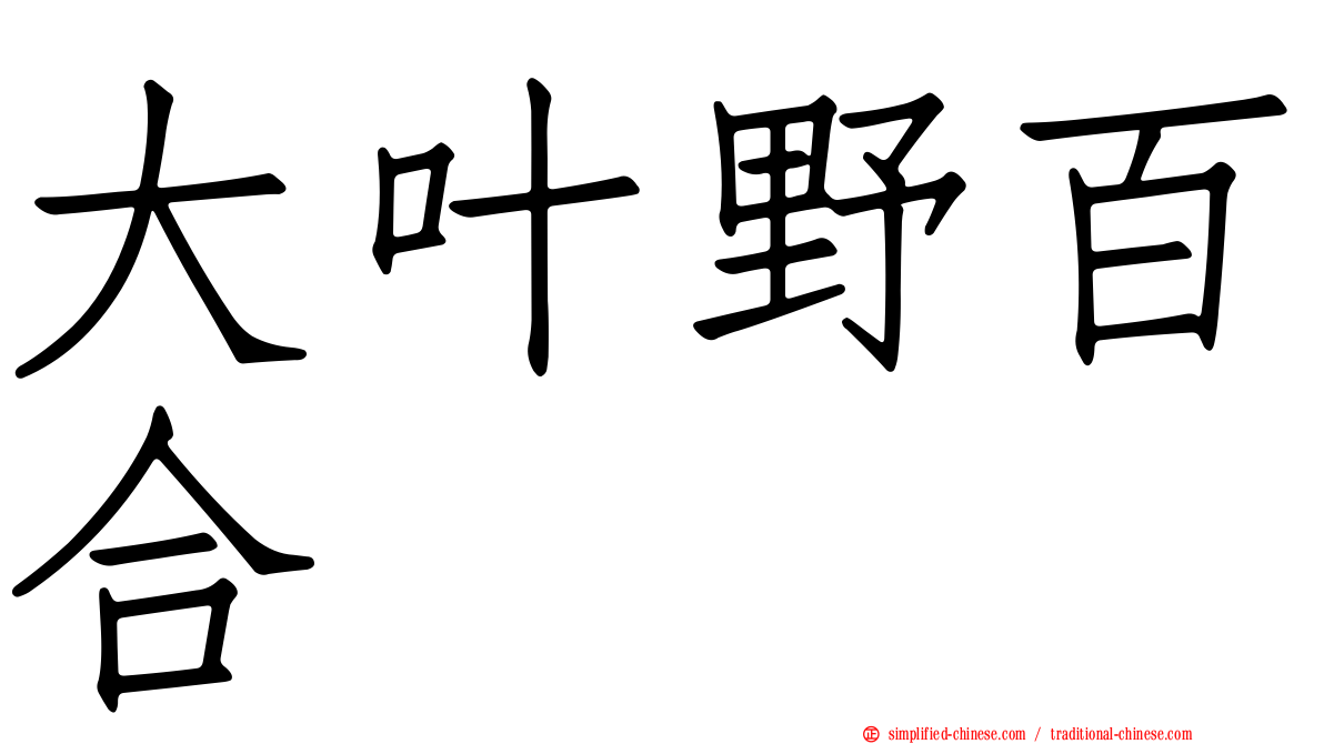 大叶野百合