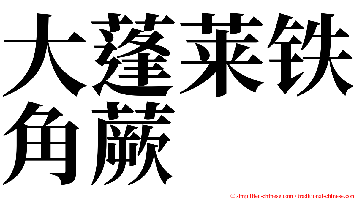 大蓬莱铁角蕨 serif font