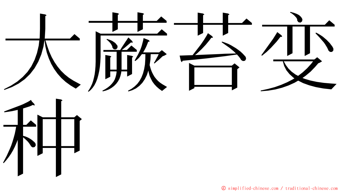 大蕨苔变种 ming font