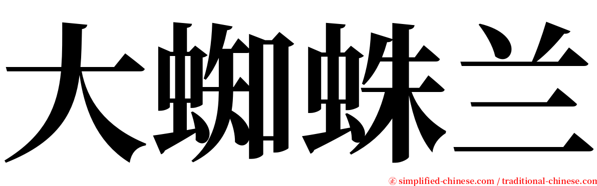 大蜘蛛兰 serif font