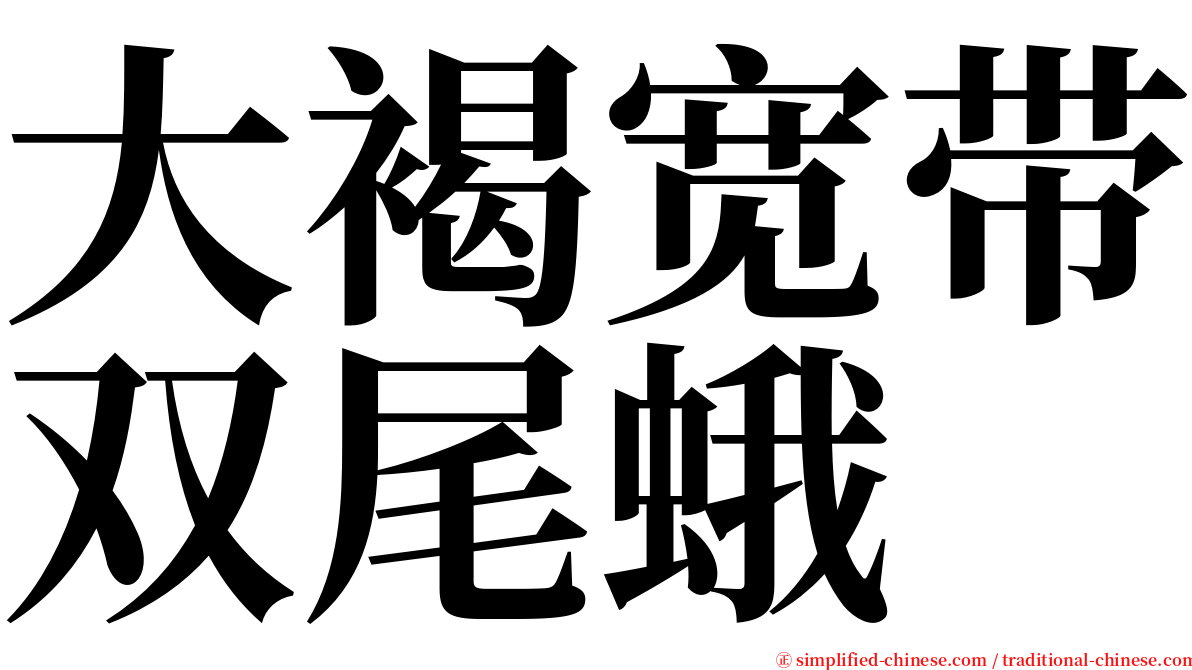 大褐宽带双尾蛾 serif font