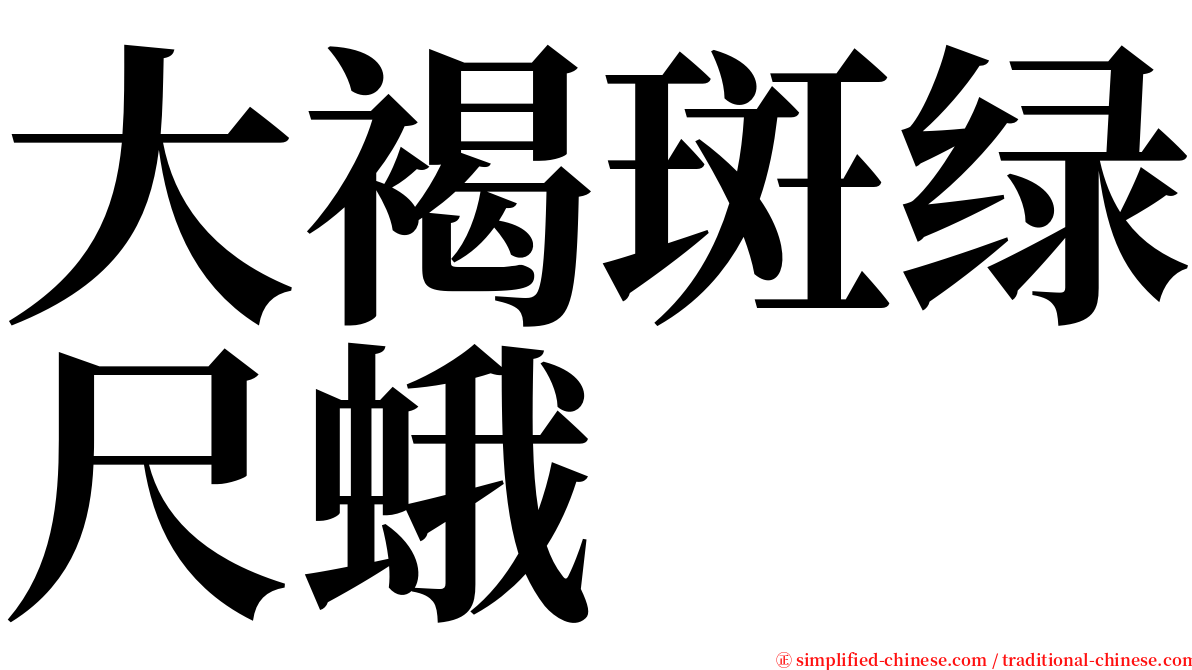 大褐斑绿尺蛾 serif font