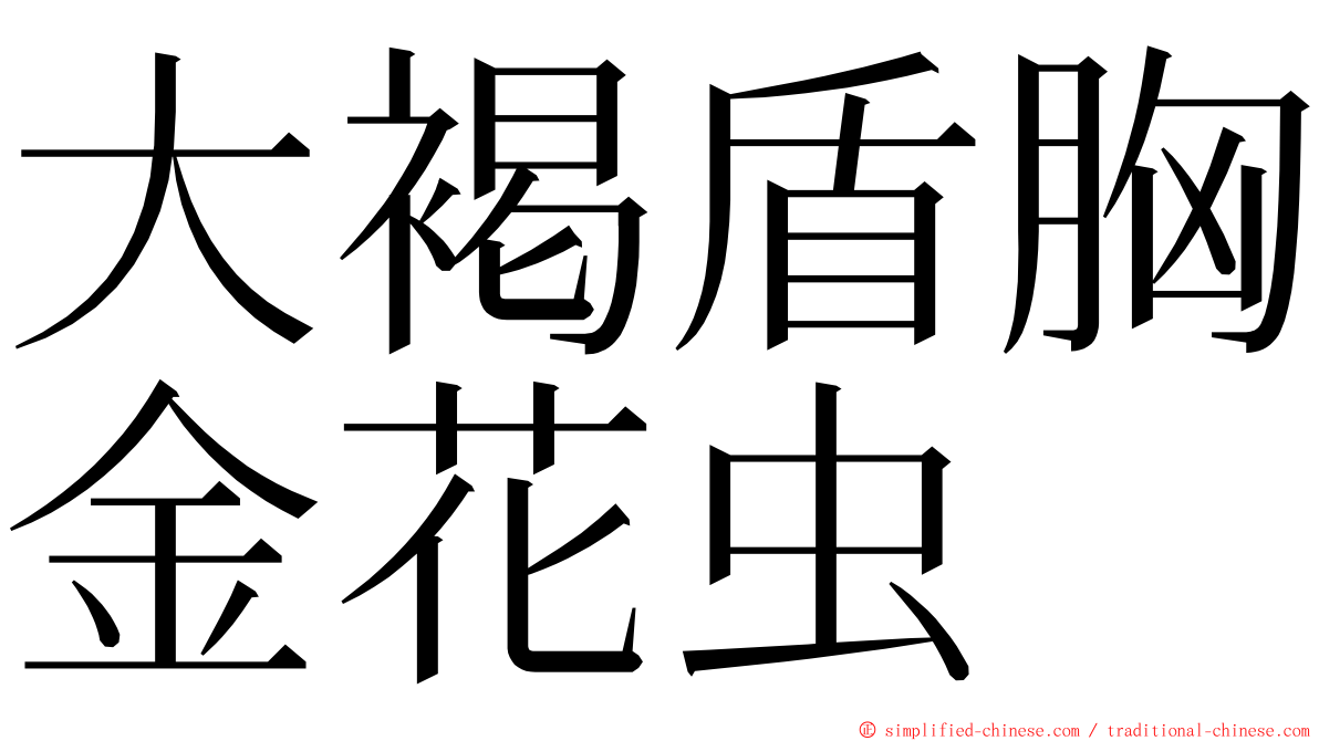 大褐盾胸金花虫 ming font