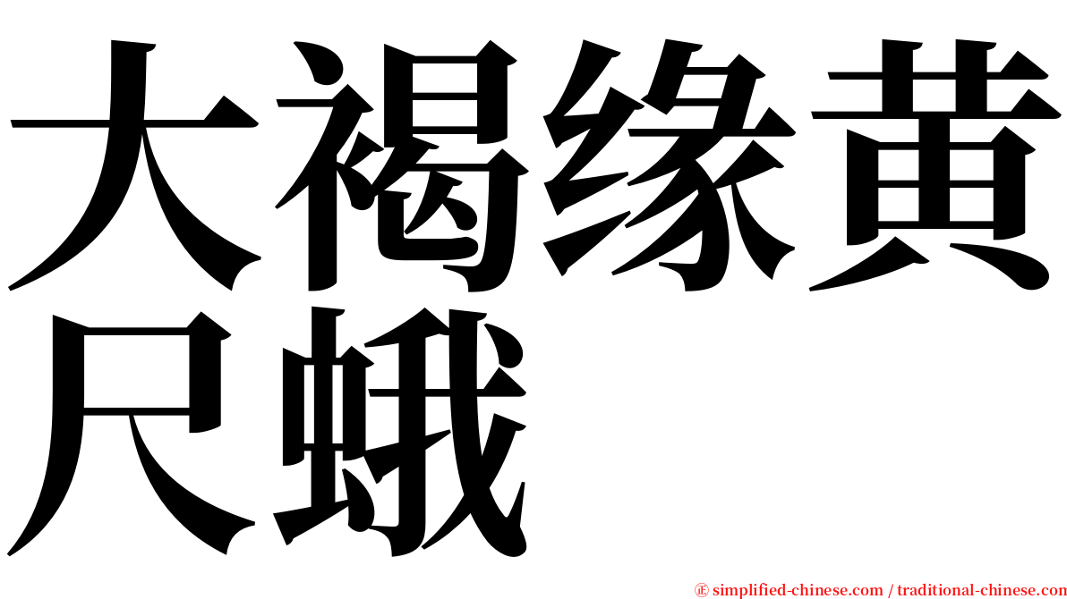 大褐缘黄尺蛾 serif font