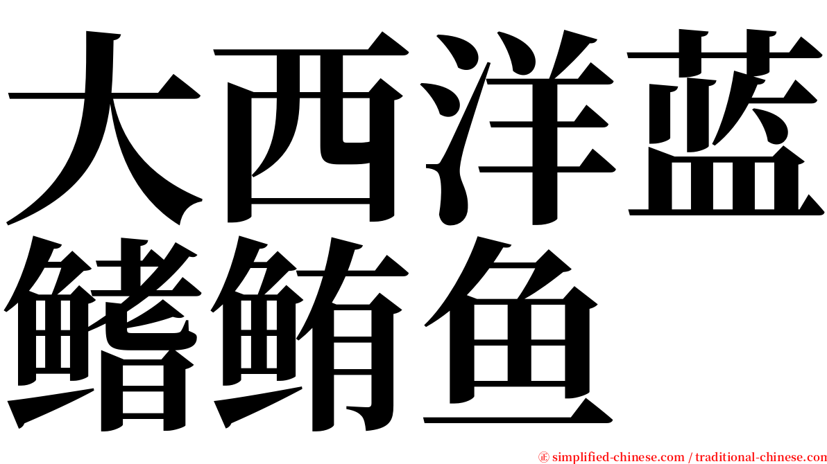 大西洋蓝鳍鲔鱼 serif font