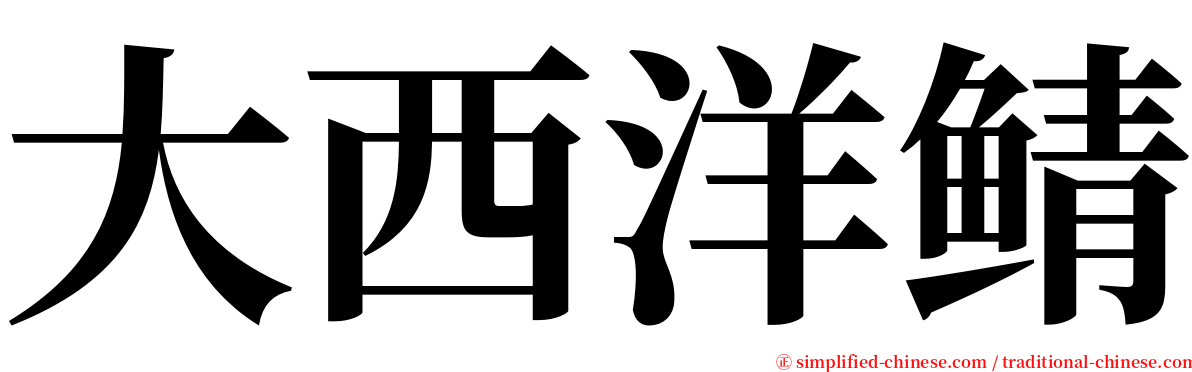 大西洋鲭 serif font