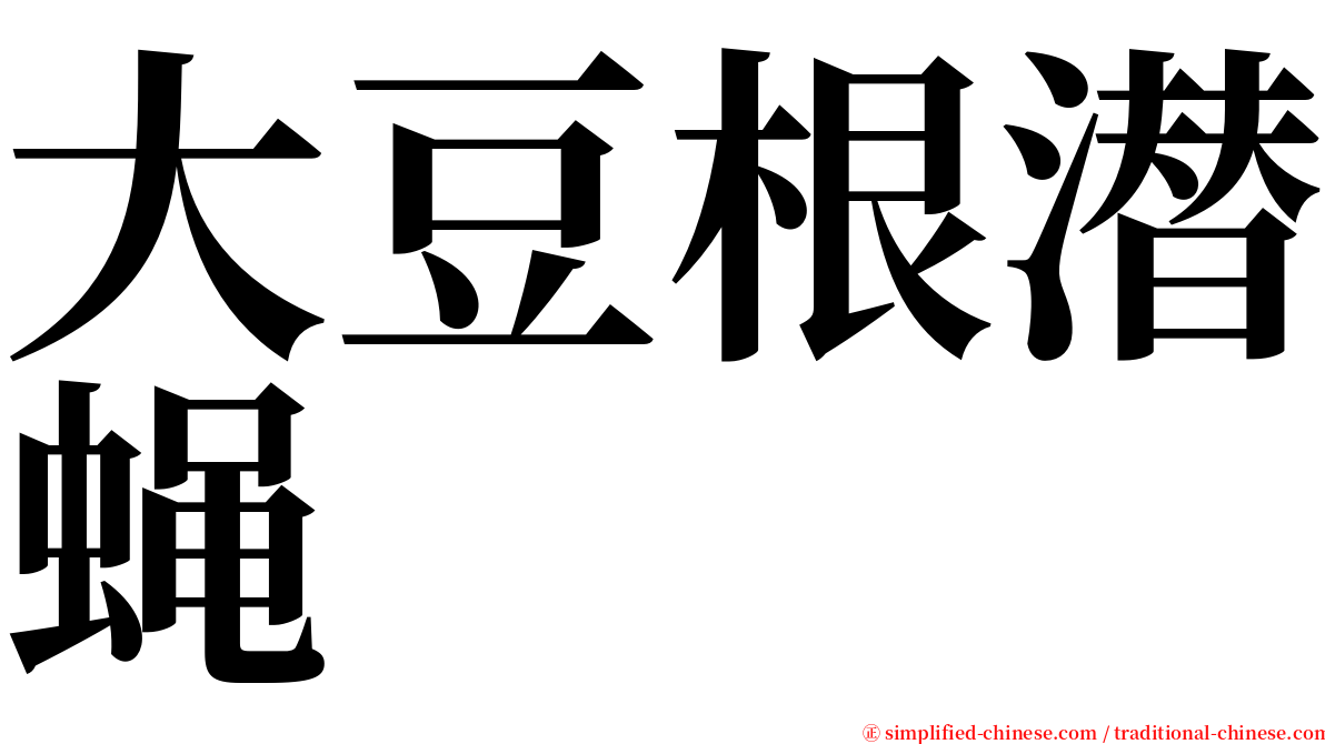 大豆根潜蝇 serif font