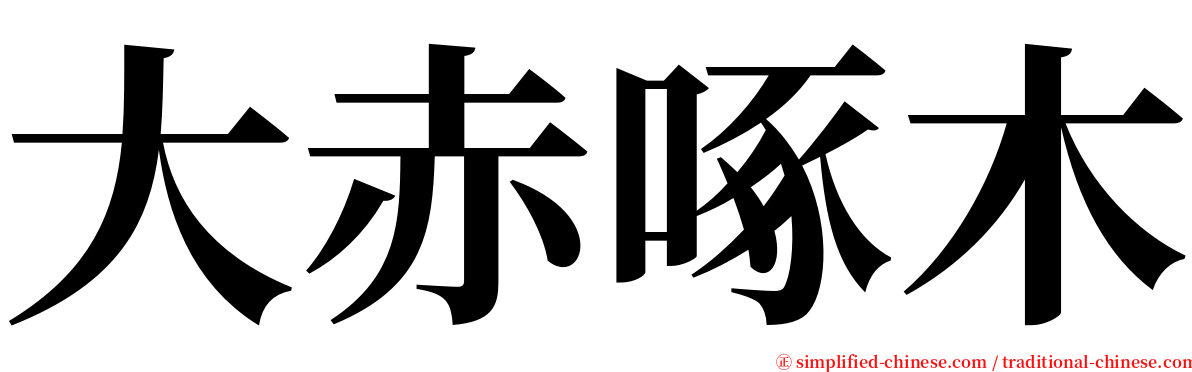 大赤啄木 serif font