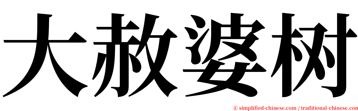 大赦婆树 serif font