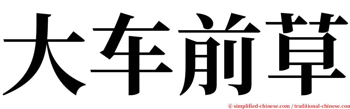 大车前草 serif font