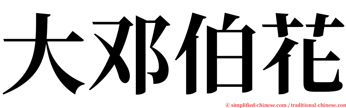 大邓伯花 serif font